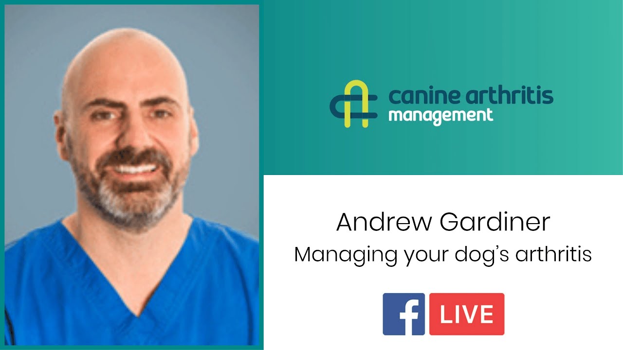 CAM LIVE:  Managing your dog’s arthritis with Andy Gardiner