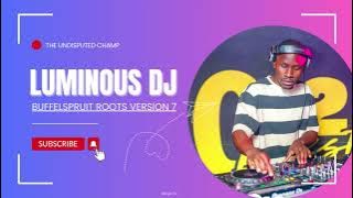 LuminousDJ  - Buffelspruit Roots Version 7