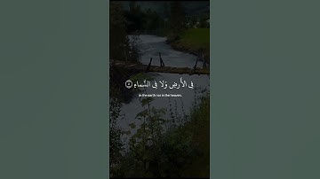 تلاوة هادئة تريح القلب بصوت القارئ عبد الرحمن مسعد | حالات واتس اب قران | ان الله لا يخفى عليه شيء