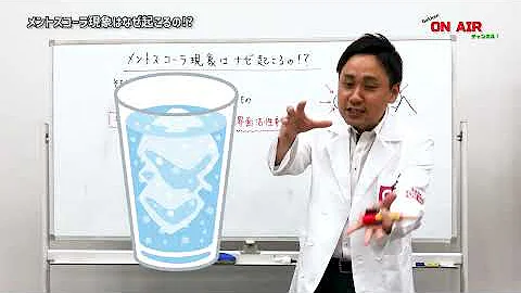 小学生 メントスコーラ