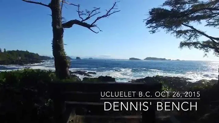 Dennis Webber's Bench