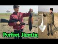 Air gun hunting perfect dead shotgamo reply 10 xgamo match pellets mz birds hunting