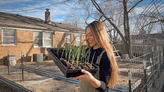 I Should Have Known Better! Hardening Off Seedlings/Spending Time In The Garden  VLOG