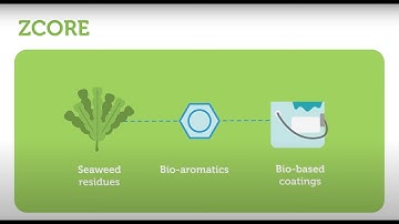 Biorizon Shared Research Center ZCORE project: bio-coatings uit zeewierreststromen - NL ondertiteld