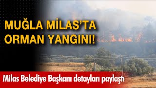Muğla Milasta Orman Yangını
