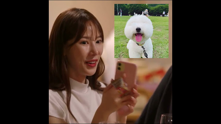 [#환승연애2] 나연 강아지 못생겼다하는 희두 #shorts