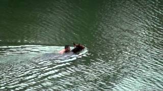 San Ignacio Town - Duplooy Travel