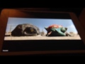 Opening To Barney Let Go To The Farm Dvd Opening To Barney Let Go To The Farm Dvd