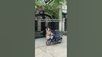 Ai mua cho tui bé Capybara khổng lồ này đi #bemori #gaubong #gấu bông #capybara