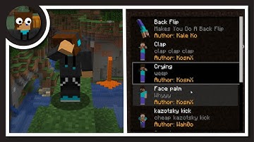 You Can Create and Add Your Own Emote (MOD) - Minecraft