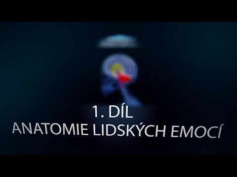 Video: Techniky Zvládání Emočních Stavů. Část 1