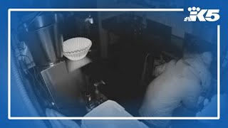 Ballard restaurant owner speaks out as neighborhood break-ins continue in 2026