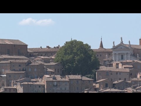 Video: Cultivar di platani: quanti diversi platani ci sono