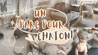 JE CONSTRUIS UN PARC POUR LES CHATONS SPHYNX