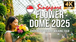 Flower Dome Singapore 2025 | Gardens by the Bay Walking Tour 4K UHD