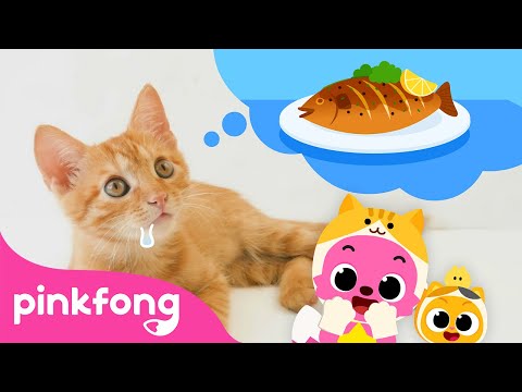 Oh, Baby Cat says meow | Baby Animals Songs | Kitten Song | Pinkfong for Kids