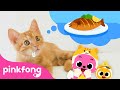 Oh Baby Cat Says Meow Baby Animals Songs Kitten Song Pinkfong For Kids 
