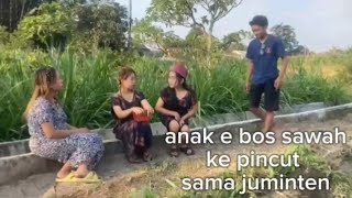anak e bos sawah kepincut Karo juminten . komedi jowo juminem rewal rewul