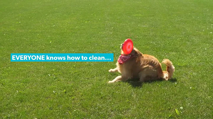 Doggy fails are funny! Cleaning fails are not...