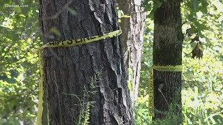 NTSB begins investigation into Baldwin County plane crash that killed Florida pilot, dog