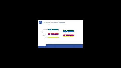 CB2442 - Multiple Sequence Alignments