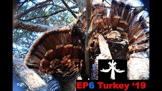 OKLAHOMA PUBLIC LAND TURKEY HUNTING DOUBLE