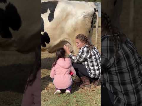 رحلة للمزرعة وحلب البقرة اكسبلور اطفال تحديات ترند اكسبلور فولو البقرة Funny