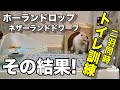 トイレのトレーニングを健闘し合うネザーとロップイヤーのうさぎさん #046