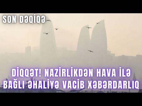 Video: Diqqət: gigolos irəliləyir