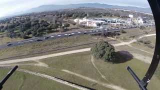 Una apacible mañana de domingo en la dehesa