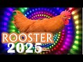 Rooster Horoscope 2025 Born 2017 2005 1993 1981 1969 1957 1945 1933 Rooster Horoscope 2025 Born 2017 2005 1993 1981 1969 1957 1945 1933
