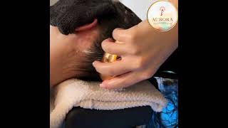 Experience Our Luxe Head Spa | Aurora Beauty #globalspa #hydrafacial #spaservices #massage