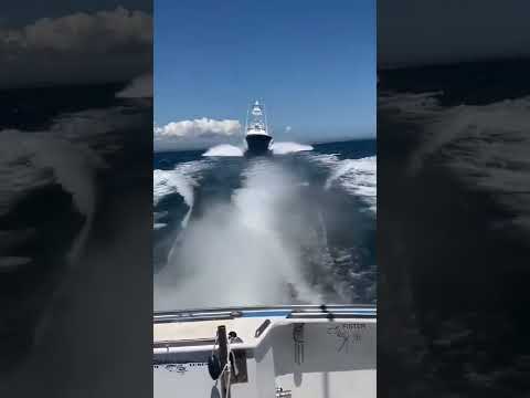 Wait for it...Insane flyby of the 72' Viking "Tami Ann"