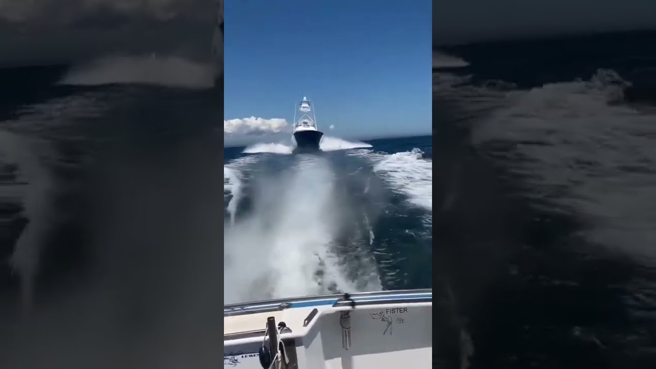 Wait For It Insane Flyby Of The 72 Viking Tami Ann 