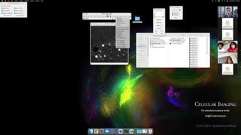 Introduction to using Fiji (ImageJ)