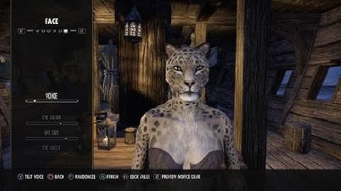 The Elder Scrolls Online: Tamriel Unlimited- Kajiit Character Creation