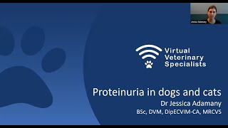 VVS Internal Medicine Webinar Proteinuria in the Dog and Cat