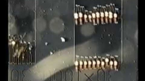 microfabricated conjugated polymer "fingers"