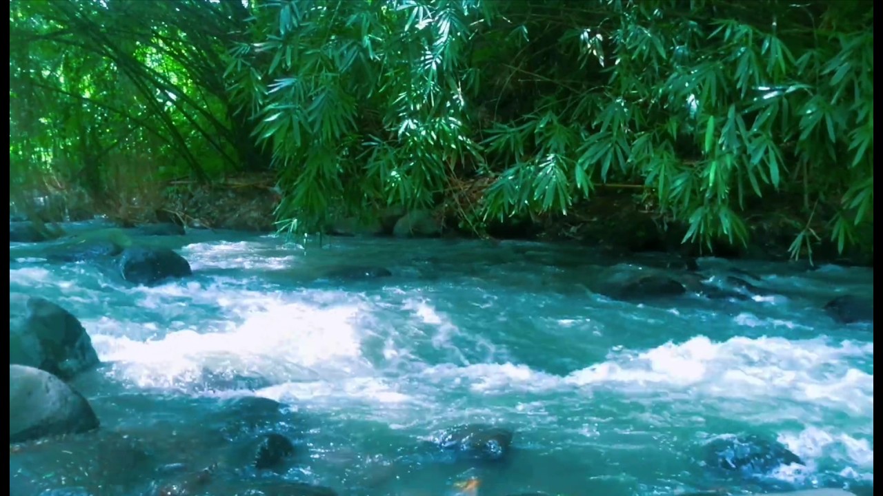Beautiful Relaxing River  Nature Sounds Sleep Meditation Study Stress Relief Mindfulness