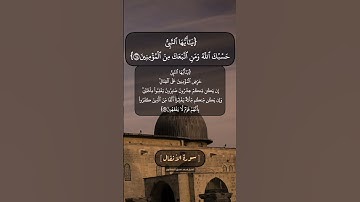 سورة الأنفال الآية ٦٤ و ٦٥ بصوت الشيخ محمد صديق المنشاوي