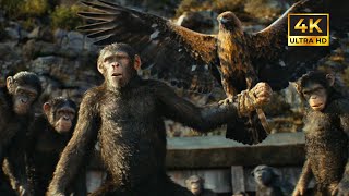 Noa Vs Proximus Caesar - Final Fight Scene | KINGDOM OF THE PLANET OF THE APES (2024) 4K Ultra HD