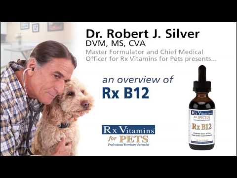 rx-b12-product-overview---rx-vitamins-for-pets