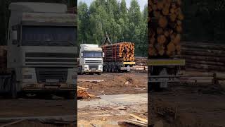 Кругляк #доскаобрезная #обрезнаядоска