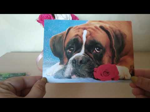 Video: Postcrossing: Få Postkort Fra Hele Verden