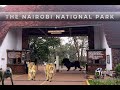 Nairobi National Park Game Drive || SGR Views || Only National Park in Capital City Globally