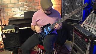 Steinberger Spirit XT-25 Demo