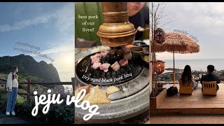 2 days on Jeju Island  Black Pork KBBQ, Seogwipean Bakery, Osulloc Tea Museum | KOREA DIARIES