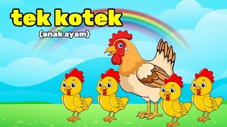 tek kotek kotek - anak ayam - lagu anak anak - ayam berkokok