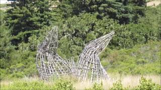 Djerassi open house 2016