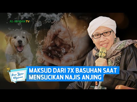 Video: Ketika Krisis Datang, 5 Aplikasi Ini Dapat Menyelamatkan Kehidupan Pup Anda